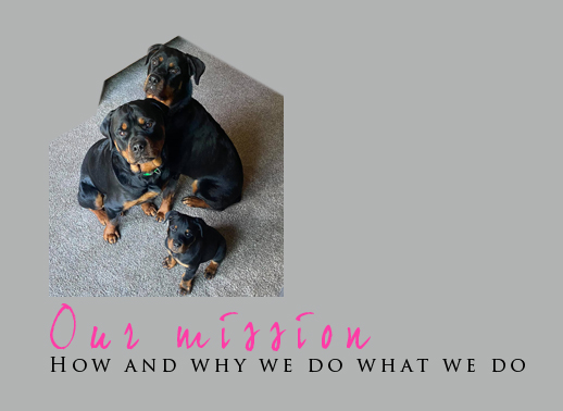 our mission