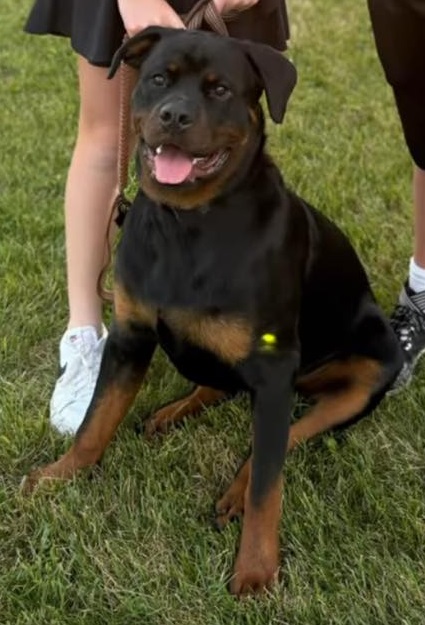 bo