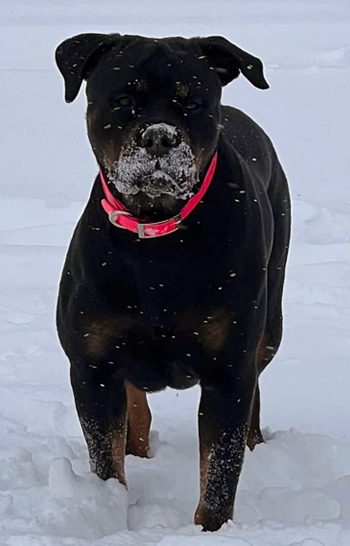 khaos