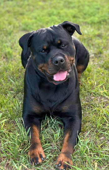 khaos