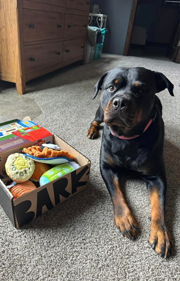 khaos