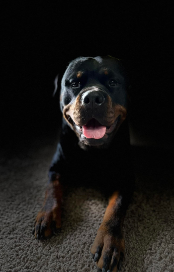khaos
